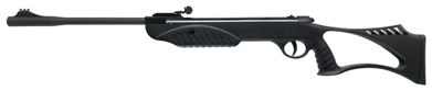 ruger explorer youth rifle